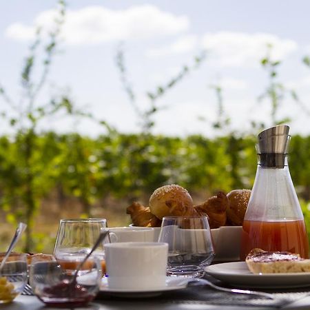 Beaulieu-sur-Layon Domaine De La Soucherie - Chambres D'Hotes מראה חיצוני תמונה