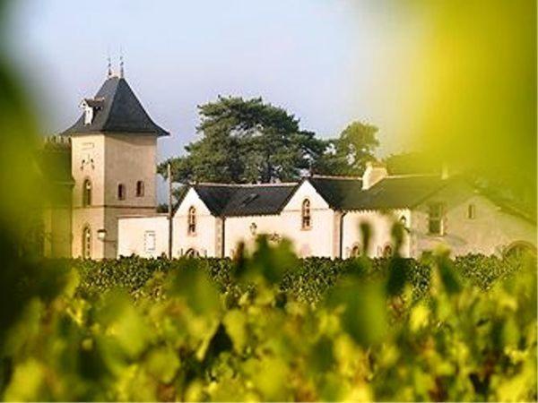 Beaulieu-sur-Layon Domaine De La Soucherie - Chambres D'Hotes מראה חיצוני תמונה