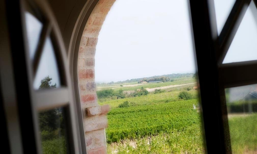 Beaulieu-sur-Layon Domaine De La Soucherie - Chambres D'Hotes מראה חיצוני תמונה