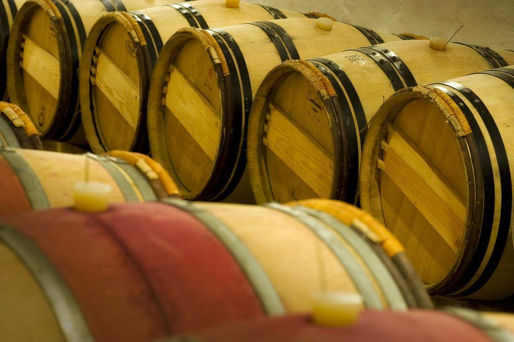 Beaulieu-sur-Layon Domaine De La Soucherie - Chambres D'Hotes מראה חיצוני תמונה