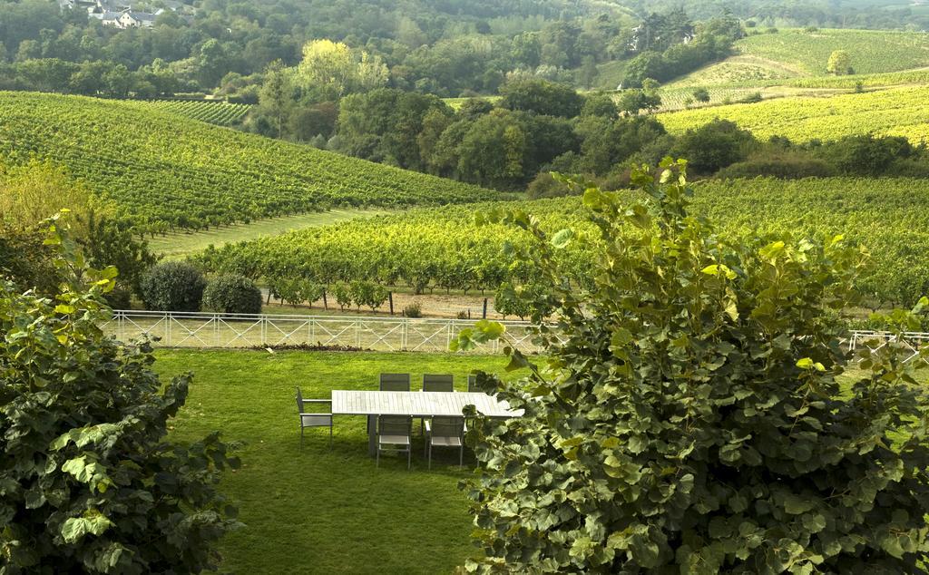 Beaulieu-sur-Layon Domaine De La Soucherie - Chambres D'Hotes מראה חיצוני תמונה