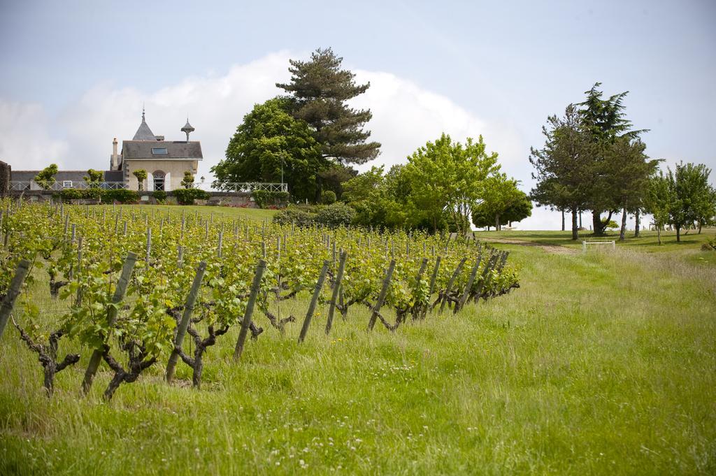 Beaulieu-sur-Layon Domaine De La Soucherie - Chambres D'Hotes מראה חיצוני תמונה