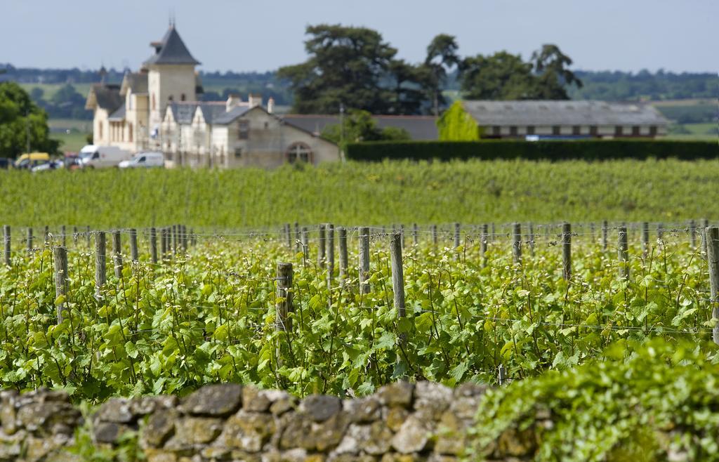 Beaulieu-sur-Layon Domaine De La Soucherie - Chambres D'Hotes מראה חיצוני תמונה