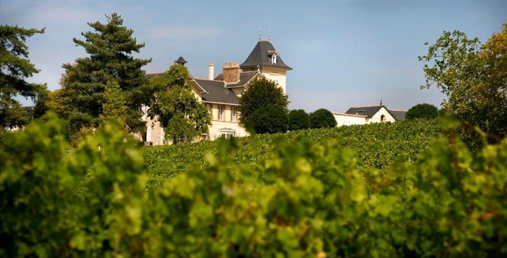 Beaulieu-sur-Layon Domaine De La Soucherie - Chambres D'Hotes מראה חיצוני תמונה
